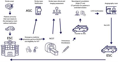 Delivering acute stroke care in a middle-income country. The Mexican model: “ResISSSTE Cerebro”